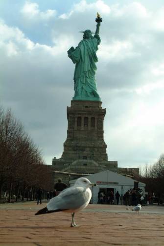 NYC_2006-12-05 12-36-42